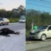 Una mañana de caos: caballos sueltos provocan accidentes en la Puerto Morelos-Cancún