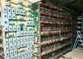 ¡No era una bodega cualquiera! Caen casi 300 equipos de una “mina” de criptomonedas