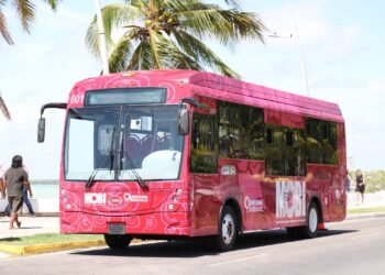 ¿Vas al Grito en Chetumal? Habrá transporte hasta la última canción del concierto