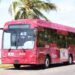 ¿Vas al Grito en Chetumal? Habrá transporte hasta la última canción del concierto