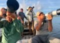¡A volar! Punta Sur se convierte en escenario para observar 22 especies de aves