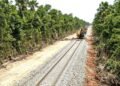 Expropian casi 20 hectáreas del ejido Polyuc para el Tren Maya y la CFE