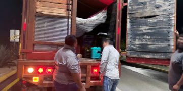Aseguran 101 sacos de carbón vegetal sin documentación en Quintana Roo