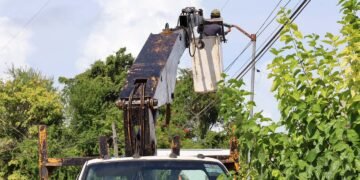 Alumbrado llegará a otras 16 comunidades de Othón P. Blanco; trabajos tomarán unas tres semanas