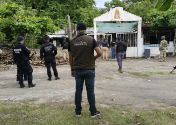 Profepa asegura cinco animales silvestres durante cateos en Michoacán