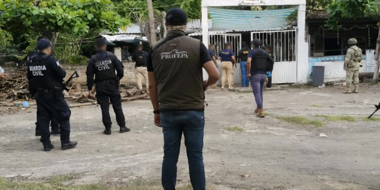 Profepa asegura cinco animales silvestres durante cateos en Michoacán