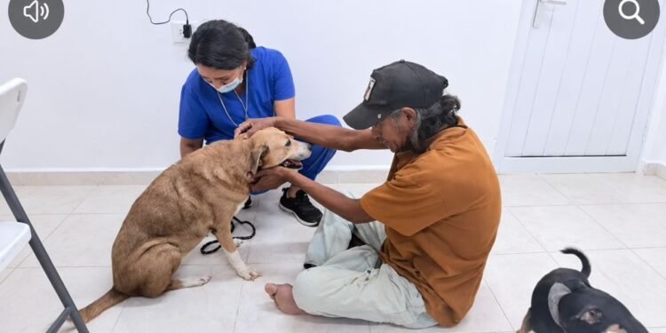 “Necesitaban ayuda urgente”: rescatan a ocho perros en Playa del Carmen