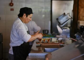 Quintana Roo lidera crecimiento del empleo formal en el sureste; supera la media nacional