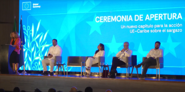 ¡El sargazo reúne al Caribe! Buscan convertir el problema en oportunidad