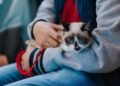 Tres días para despedirse: la propuesta que busca reconocer el duelo por mascotas