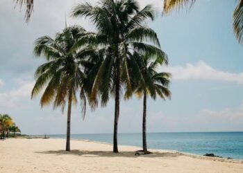¿Tu playa favorita está en la lista? Cuatro de Quintana Roo destacan en ranking internacional