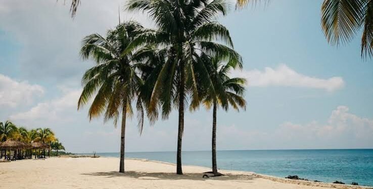 ¿Tu playa favorita está en la lista? Cuatro de Quintana Roo destacan en ranking internacional