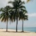 ¿Tu playa favorita está en la lista? Cuatro de Quintana Roo destacan en ranking internacional